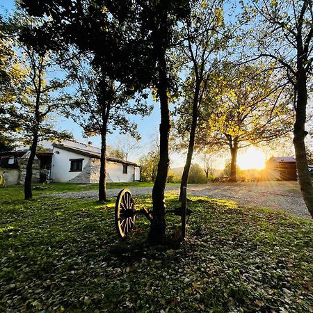 Ovostolai Cottage Fonni Dış mekan fotoğraf