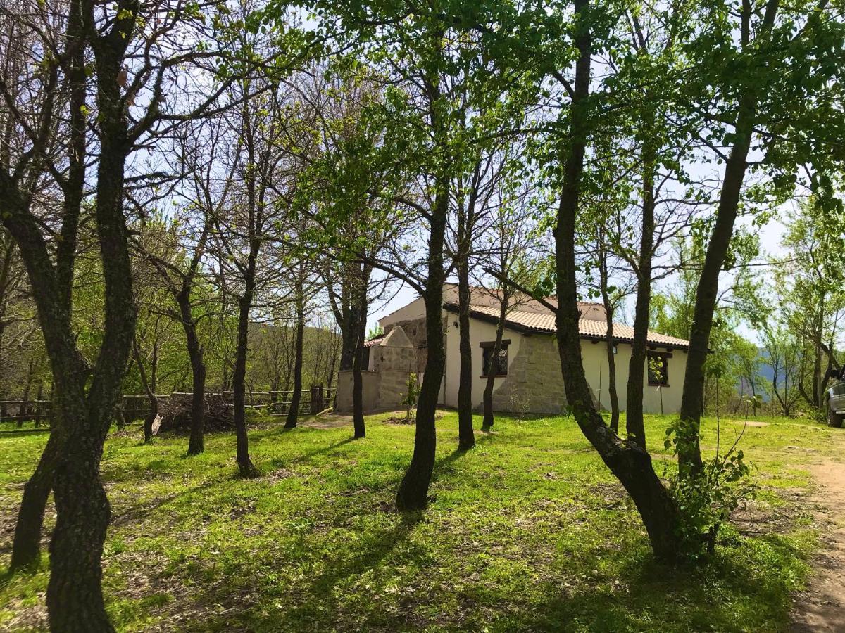Ovostolai Cottage Fonni Dış mekan fotoğraf