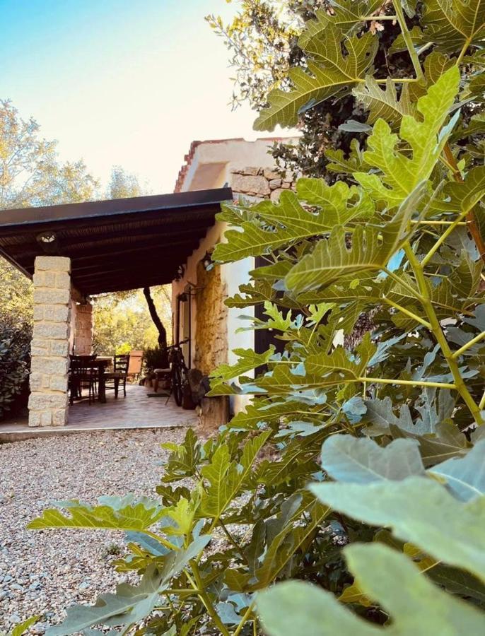 Ovostolai Cottage Fonni Dış mekan fotoğraf