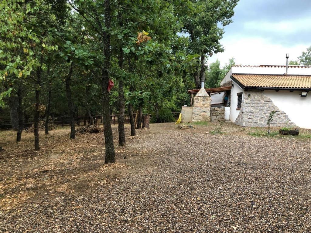 Ovostolai Cottage Fonni Dış mekan fotoğraf