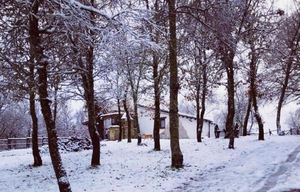 Ovostolai Cottage Fonni Dış mekan fotoğraf