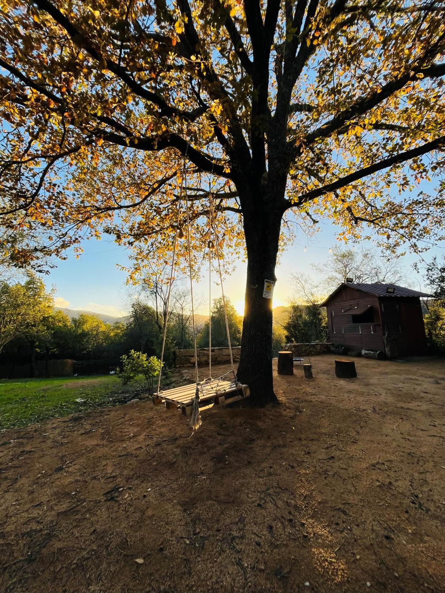 Ovostolai Cottage Fonni Dış mekan fotoğraf