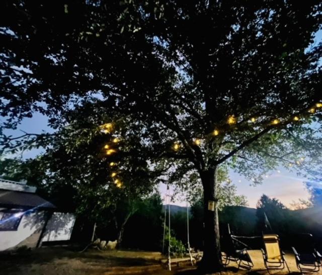 Ovostolai Cottage Fonni Dış mekan fotoğraf