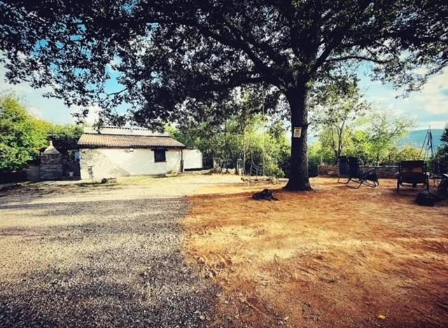 Ovostolai Cottage Fonni Dış mekan fotoğraf
