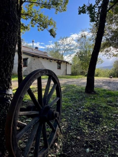 Ovostolai Cottage Fonni Dış mekan fotoğraf